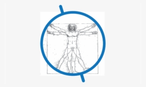 Learning Human - Leonardo Da Vinci #1534240