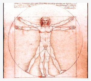 Image - Leonardo Da Vinci #1534338