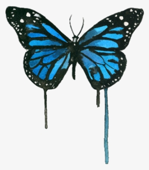 Blue Butterfly - Watercolor Butterfly Blue #1535151