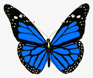 Blue Butterfly Png Pic - Butterfly Png #1535317