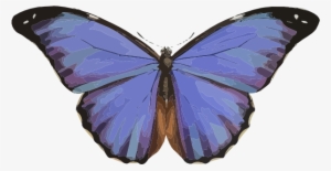 Blue Butterfly Svg Clip Arts 600 X 310 Px #1535476