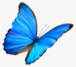 Life Is Strange Butterfly Png #1535716