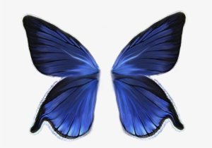 001wings - Butterfly Wings #1535919