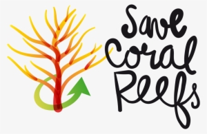 Posts Tagged With 'artificial Coral Reef' #1536240