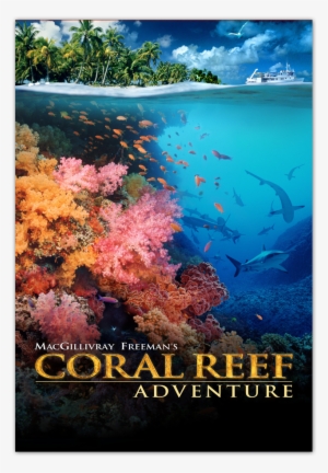 Coral Reef Adventure [blu-ray] - Imax: Coral Reef Adventure [dvd] #1536328
