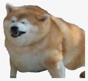 Png Dank Memes Transparent #1536709