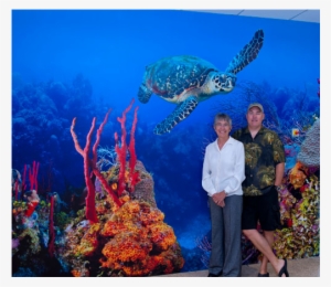 A Closer Look At This Section With Cathy And Charles - Hawksbill Sea Turtle #1536775