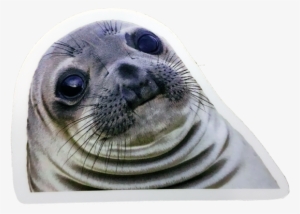 Meme Sticker Pack - Will Make You Lol #1536965