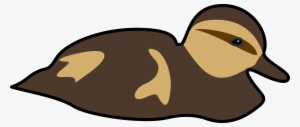 This Free Icons Png Design Of Swimming Duckling #1537547
