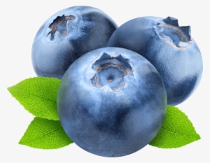 Free Png Blueberries Png Images Transparent - Transparent Background Blueberry Clipart #1537570