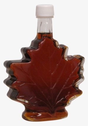 Maple Syrup - Maple #1537729