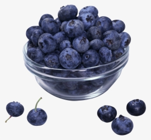 Blueberries Png - Cup Of Blueberries Png #1537750
