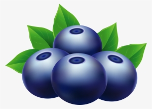 Clipart Blueberries #1537851