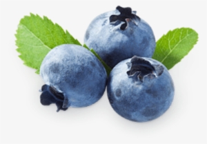 Free Png Blueberries Png Images Transparent - Bilberry Extract Powder 1 Lb #1537956