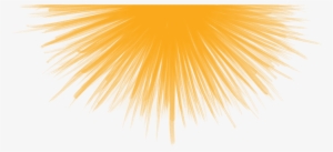 Glowing - Macro Photography #1538251