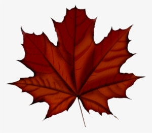 Похожее Изображение - Canada Day 150 Anniversary #1538389