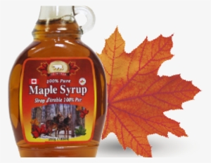 Maple Syrup #1538647