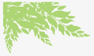 American River Conservancy #1538649