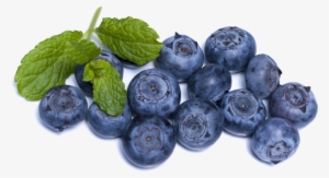 Superfood Bible: What You Need To Know #1538684