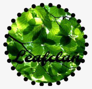 Leafs By Djdeejayf-d64s4dd - Ncvt Mis Result 2017 Iti #1538740