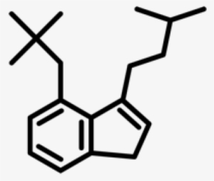 The Essential Guide To Psilocybin Mushrooms - Depression Molecule #1538873