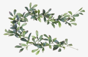 Leaf Bay Garland Tree - Leaf Laurel Png #1538911