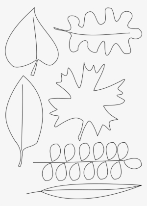 How To Set Use Leafs Clipart #1538913