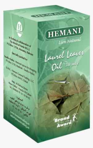 Origan En Arabe Traduction #1539129