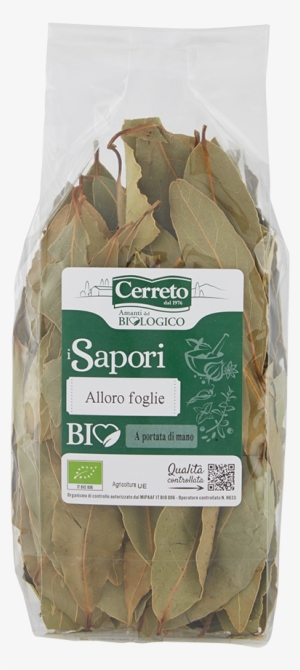 Laurel Leaves - Penne #1539343 Laurel Leaves - Penne #1539343