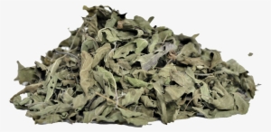 Basil Leaves Png Download - Holy Basil #1539398