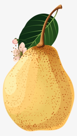 Яндекс - Фотки - Food #1539782