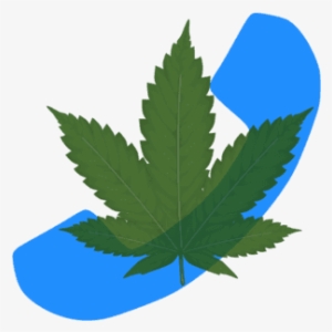 Cannabis Consultant - Music Note #1539871