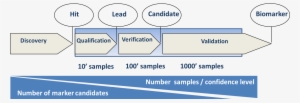 Biomarkers Stages - Merton Chamber Of Commerce #1540239