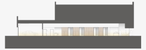 Nichols Longitudinal Section 01 01 #1540862
