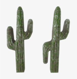 Cactus Prop - San Pedro Cactus #1541377