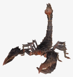 Radscorpion Fallout The Vault Fallout Wiki Fallout - Radscorpion Png #1541665