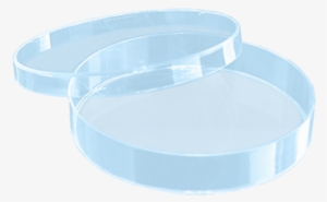 Petri Dish 92x16mm With Cams - Caja De Petri Dibujo #1542704