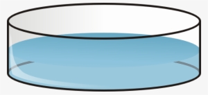 The Editing Of Petri Dishes - Caja De Petri Dibujo #1542930