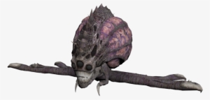 Download Zip Archive - Insect #1543260