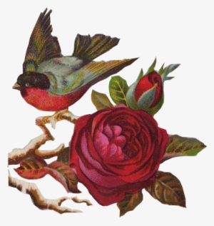 Flores Vintage Png - Birds Rose Png - Free Transparent PNG Download ...