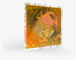 Evah Pirazzi Slap - Evah Pirazzi Slap Double Bass Strings, Set, Gut G And #1543979