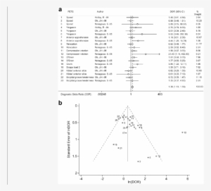 A Evidence For Validity Of Pets In Diagnosing Slap - Triangle #1544352