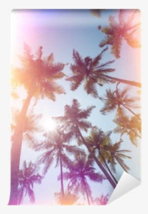 Palms Trees On A Beach Vintage Stylized With Film Light - Film #1545637 Palms Trees On A Beach Vintage Stylized With Film Light - Film #1545637