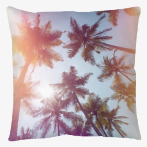 Palms Trees On A Beach Vintage Stylized With Film Light - Film #1545836 Palms Trees On A Beach Vintage Stylized With Film Light - Film #1545836
