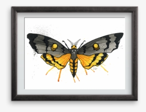 Goth Moth Art Print - Picture Frame #1546638 Goth Moth Art Print - Picture Frame #1546638