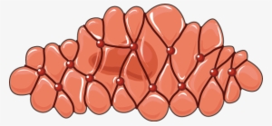 Muscle - Smooth Muscle Clipart #1546856