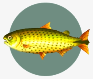 Animal Crossing Wiki - Dorado Animal Crossing #1547768