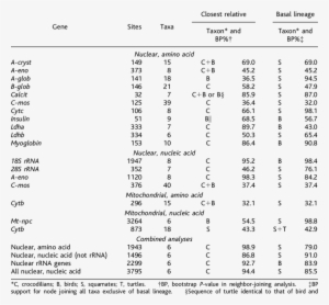 Molecular Evidence For The Closest Living Relative - Enzyme Assay #1548494