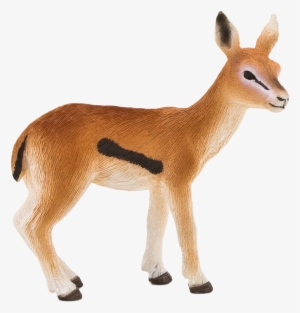 Gazelle Transparent Background - Animal With Transparent Background #1550327