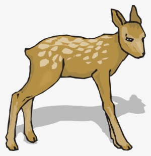 Go To Image - Fawn Clipart #1550522